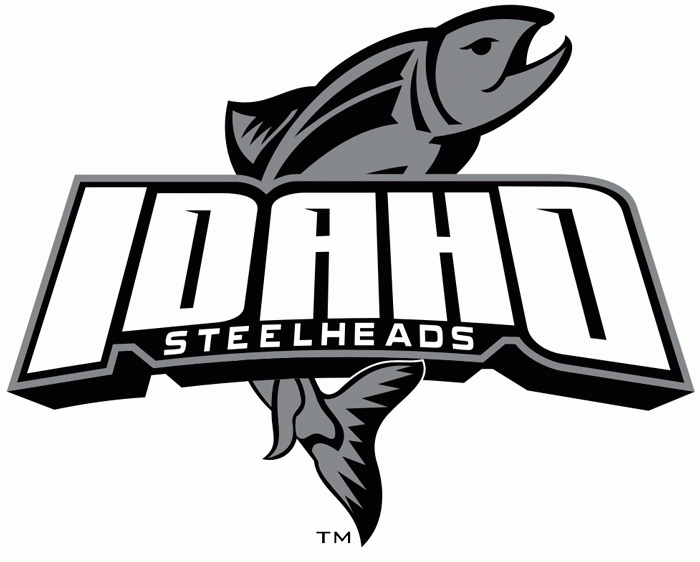 Idaho Steelheads 2008 09-Pres Alternate Logo iron on paper